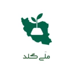 ملی گلد